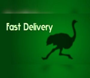 Fast Delivery Steam Ключ