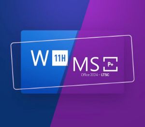 Windows 11 Home & MS Office 2024 Professional Plus LTSC Набор Ключ