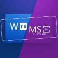 Microsoft — Программы