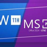 Windows 11 Home & MS Office 2024 Professional Plus LTSC Набор Ключ