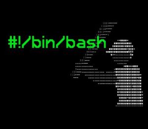 #!/bin/bash PC Steam Ключ