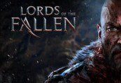 Lords of the Fallen RU VPN Required Steam Ключ