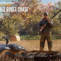 theHunter: Call of the Wild - Wild Goose Chase Gear DLC EU PC Steam Ключ