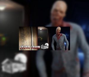 Fever Cabin Steam Ключ