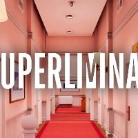 Superliminal PC Steam Ключ