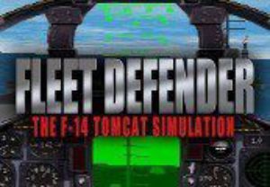 Fleet Defender: The F-14 Tomcat Simulation Steam Ключ