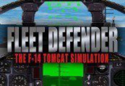 Fleet Defender: The F-14 Tomcat Simulation Steam CD Key