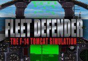 Fleet Defender: The F-14 Tomcat Simulation Steam Ключ