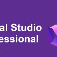 MS Visual Studio 2026 Professional Ключ