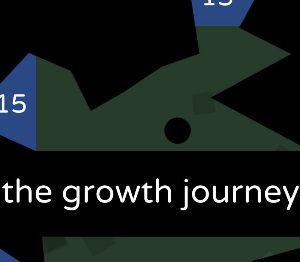 The Growth Journey Steam Ключ