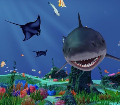Fancy Fishing VR PC Steam Ключ