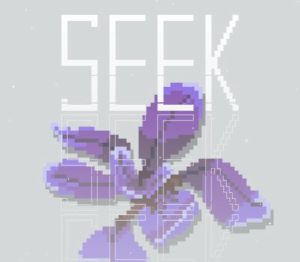 Seek PC Steam Ключ