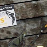 Professional Fishing - Starter Kit Pro DLC Steam Ключ