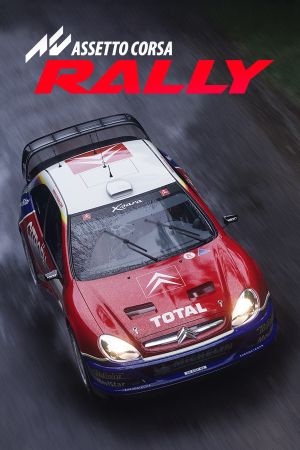 Assetto Corsa Rally PC Steam Альтергифт