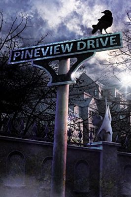 Pineview Drive Steam Ключ