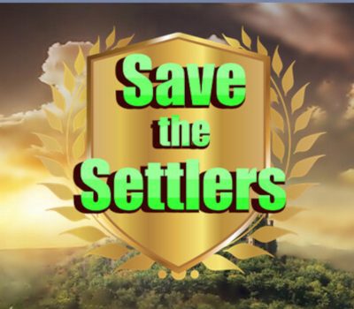 Save the settlers Steam Ключ