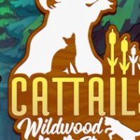 Cattails: Wildwood Story PC Steam Аккаунт
