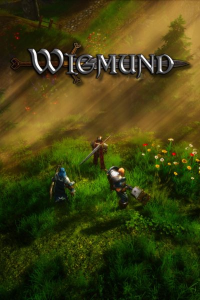 Wigmund - Companion DLC Steam CD Key