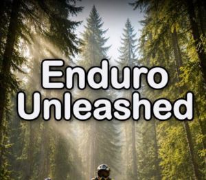 Enduro Unleashed PC Steam Ключ