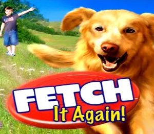 Fetch It Again Steam Ключ