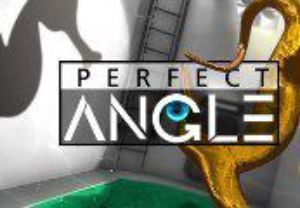 Perfect Angle Steam Ключ