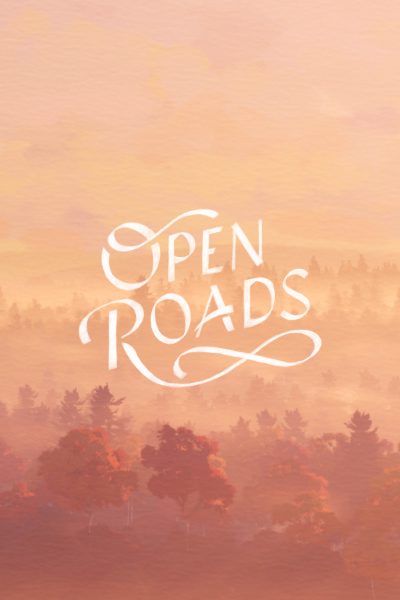 Open Roads PC Steam CD Key