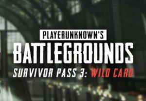 PUBG - Survivor Pass 3: Wild Карта DLC RU VPN Activated Steam Ключ