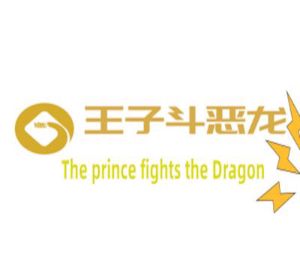 王子斗恶龙(The prince fights the Dragon) PC Steam CD Key