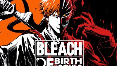 BLEACH Rebirth of Souls EU PC Steam Ключ