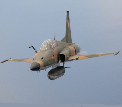 DCS: F-5E Tiger II Digital Download Ключ