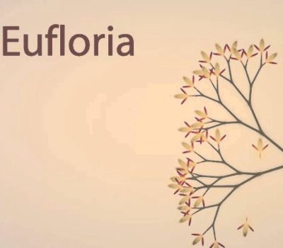 Eufloria Steam Ключ