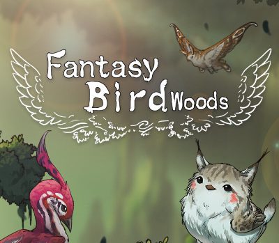 Fantasy Bird Woods PC Steam Ключ