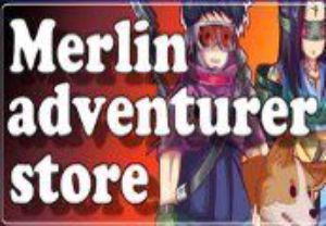 Merlin Adventurer Store Steam Ключ