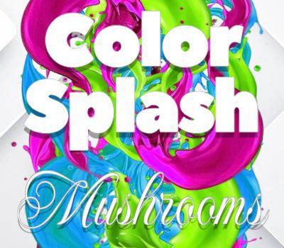 Color Splash: Mushrooms PC Steam Ключ