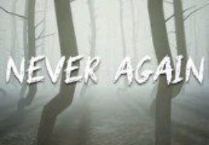 Never Again Steam Ключ