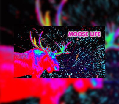 Moose Life Steam CD Key