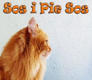 Sos i Pie Sos Steam Ключ