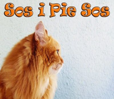 Sos i Pie Sos Steam Ключ