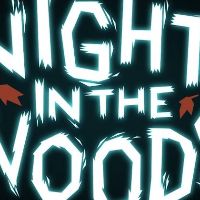 Night in the Woods PC Steam Аккаунт