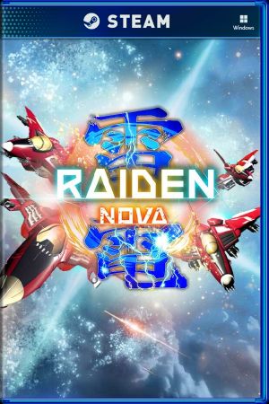 Raiden NOVA PC Steam Ключ