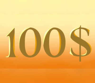 100$ - Artbook DLC Steam Ключ