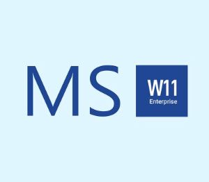 Windows 11 Enterprise Ключ