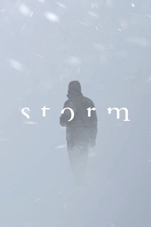 Storm VR Steam Ключ