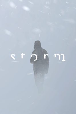 Storm VR Steam Ключ