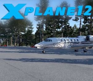 X-Plane 12 PC Steam Аккаунт