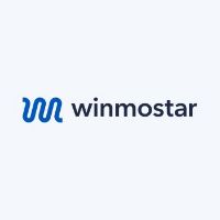 Winmostar V11 Premium Ключ (2 PCs)