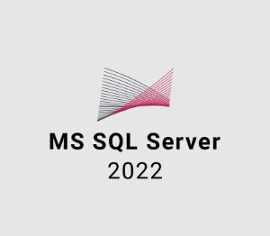 MS SQL Server 2022 EU Ключ (5 Users)