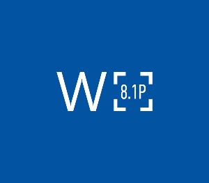 Windows 8.1 Professional OEM RU Ключ
