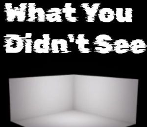 What You Didn't See PC Steam Ключ