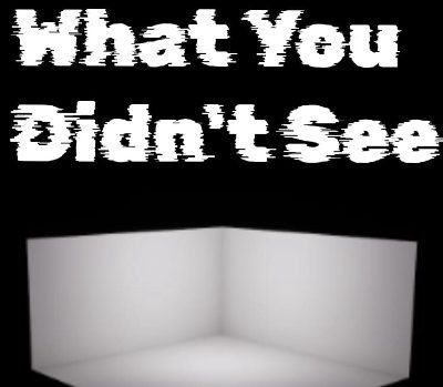 What You Didn't See PC Steam Ключ